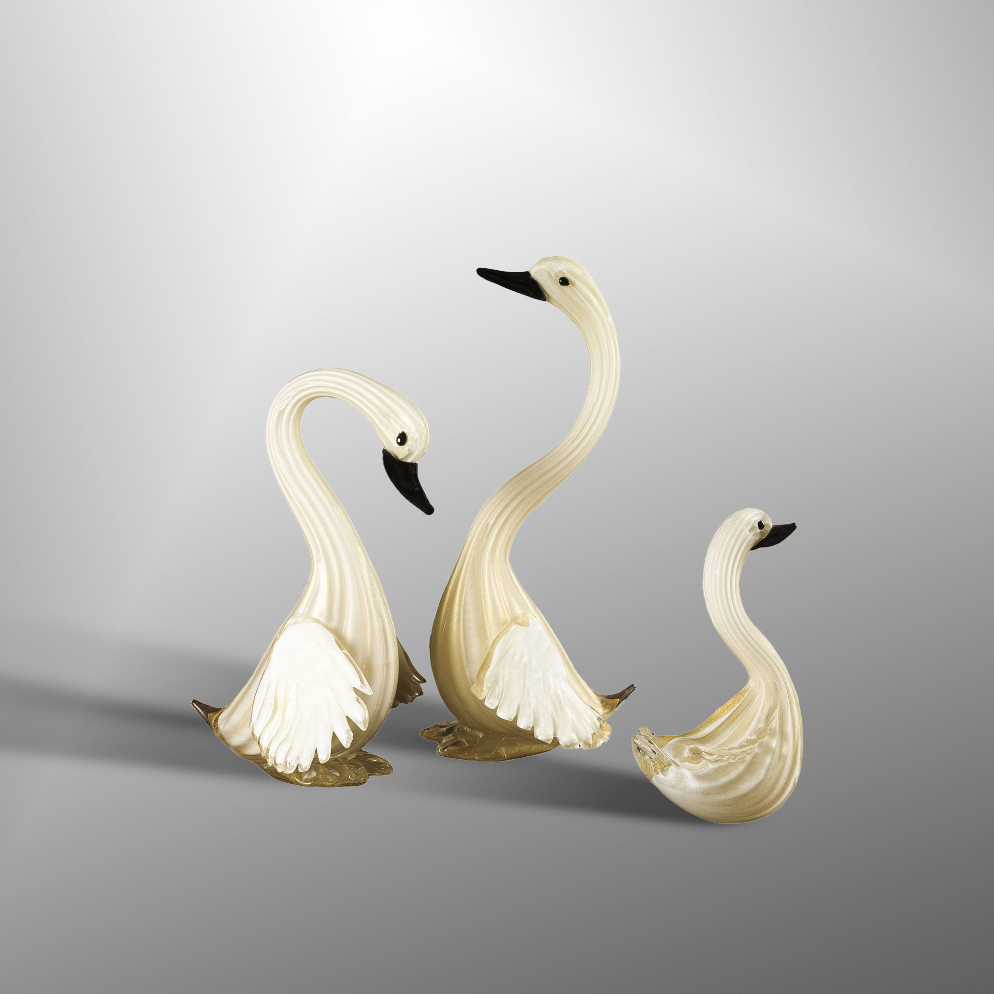 Swans with black details